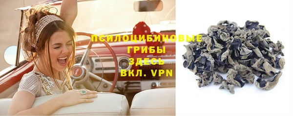 шишки Бородино