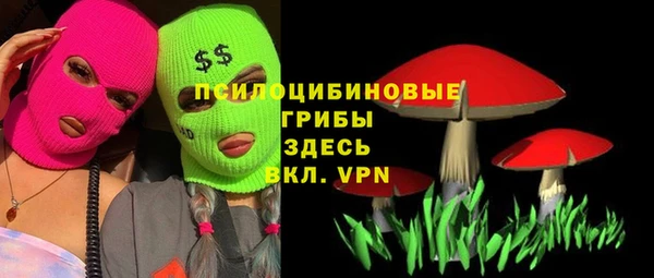 шишки Бородино
