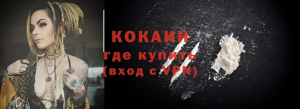 шишки Бородино