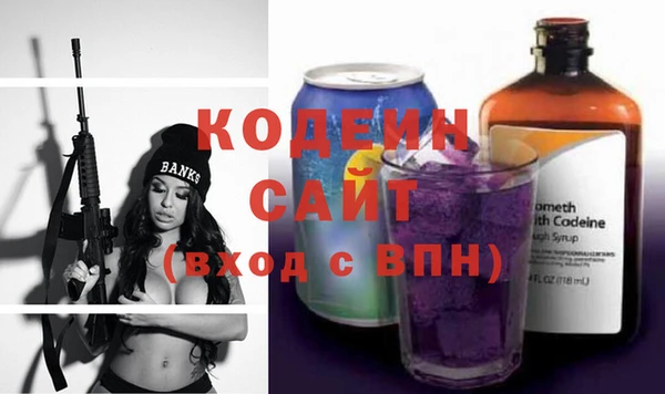 шишки Бородино