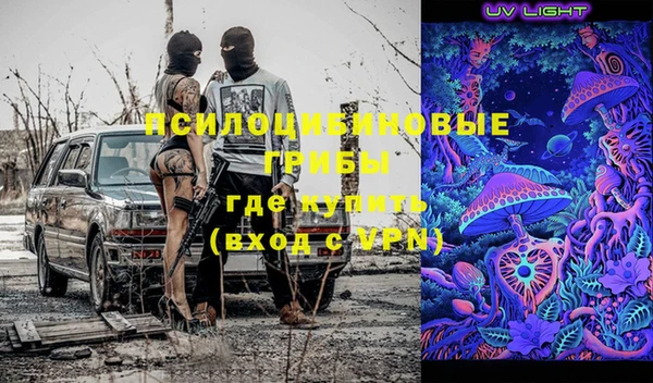 шишки Бородино