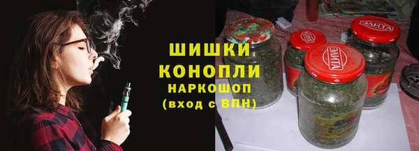 шишки Бородино