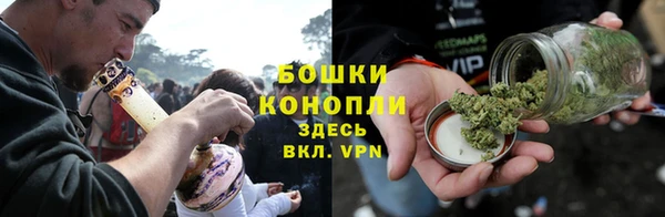 шишки Бородино
