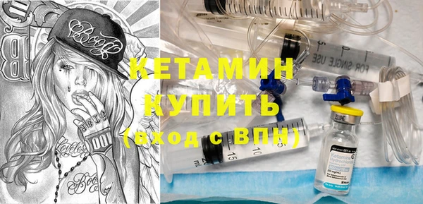 шишки Бородино