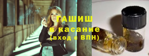 шишки Бородино