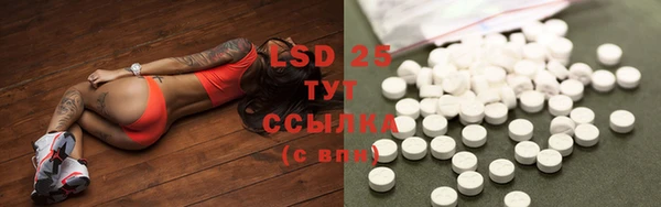 индика Бугульма
