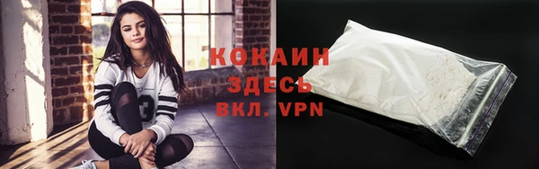 шишки Бородино