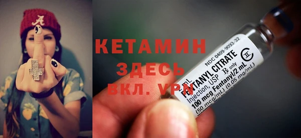 шишки Бородино