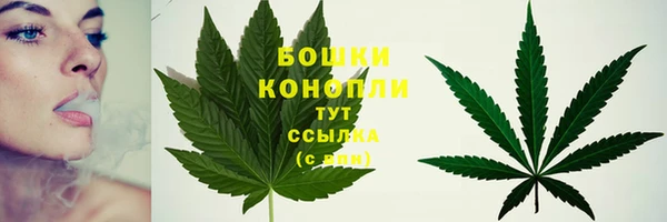 шишки Бородино