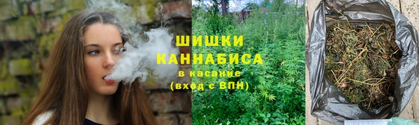 индика Бугульма