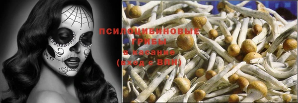 индика Бугульма