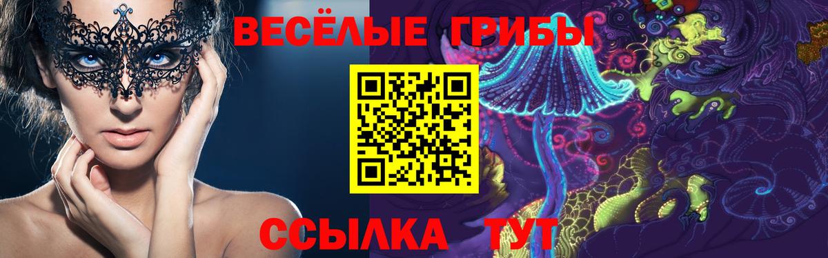 Валуйки  Псилоцибиновые грибы Psilocybine cubensis  Вход с VPN  закладка  Псилоцибиновые грибы GOLDEN TEACHER 